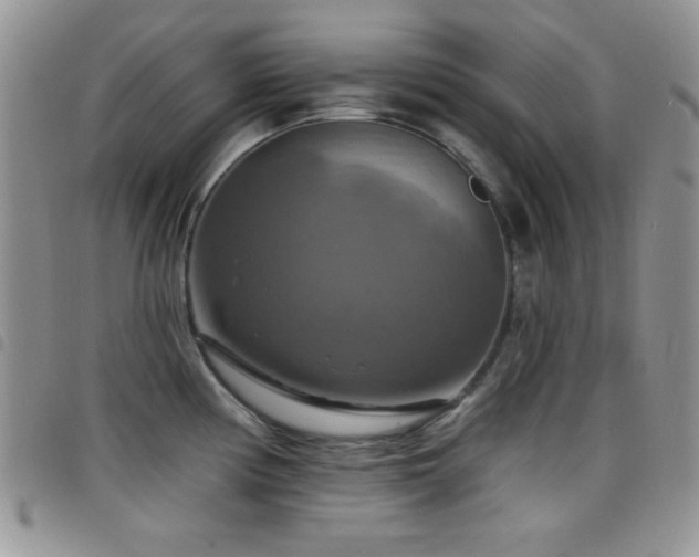X0000098211194200804241314
