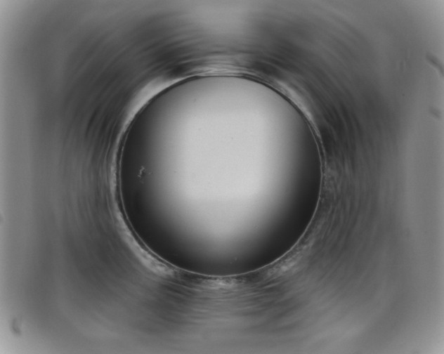 X0000098211195200804241314