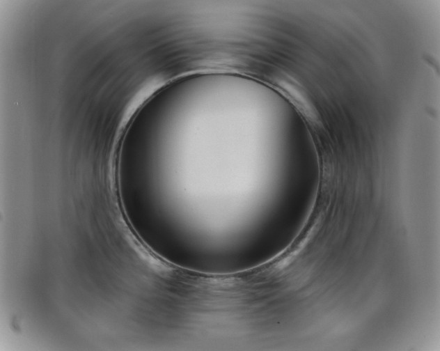 X0000098211196200804241314
