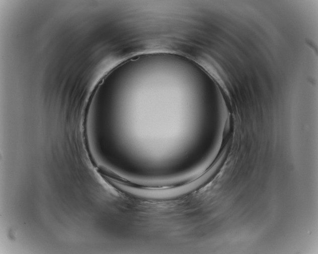 X0000098211197200804241314