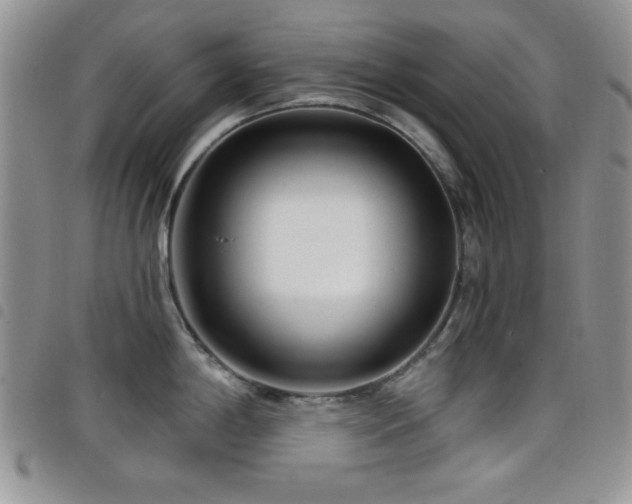 X0000098211198200804241314