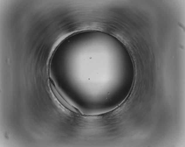 X0000098211200200804241314