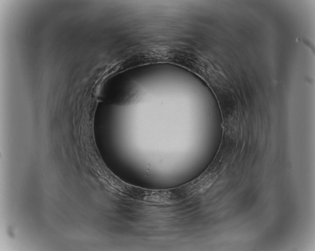 X0000098211201200804241313