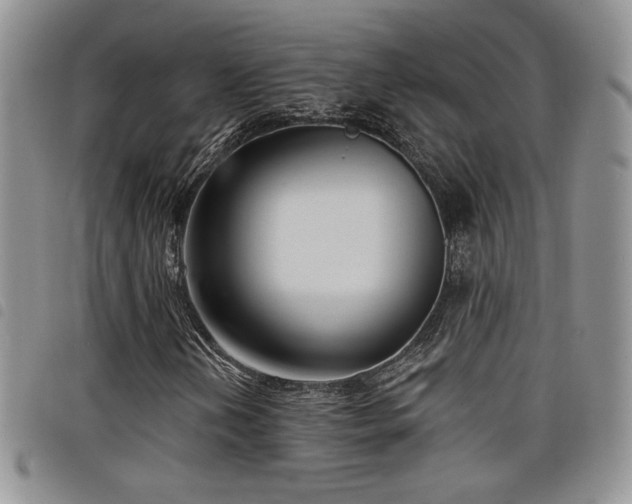 X0000098211202200804241313