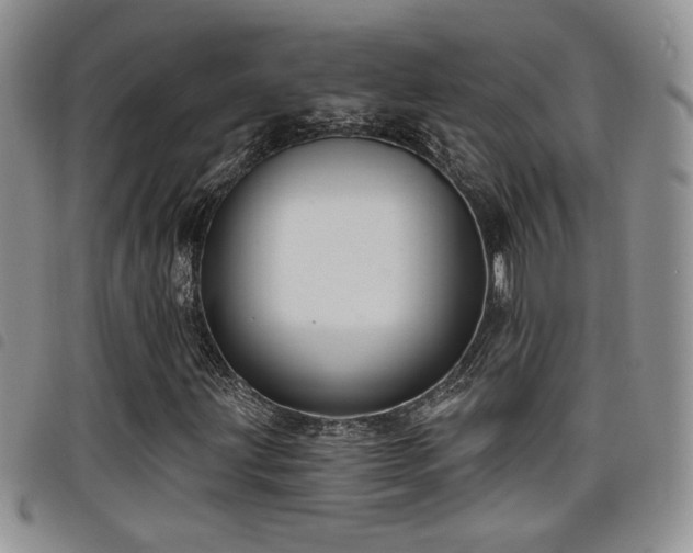X0000098211203200804241313