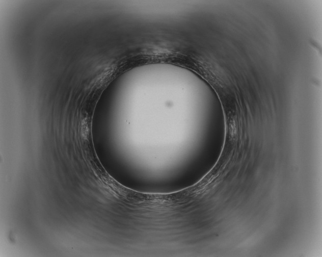 X0000098211204200804241313
