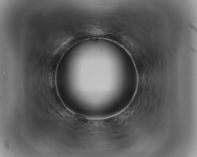 X0000098211205200804241313