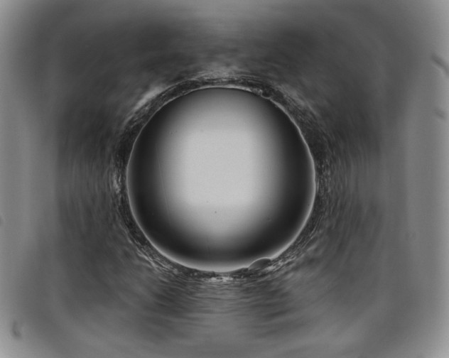 X0000098211206200804241313