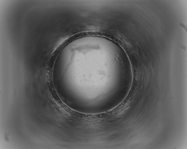X0000098211208200804241313