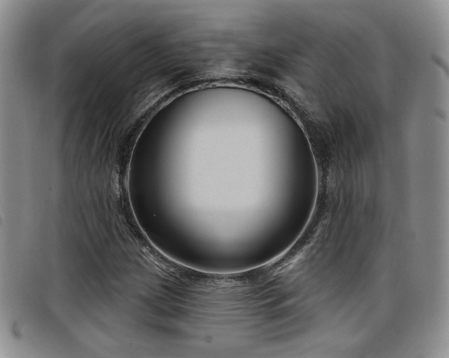 X0000098211209200804241313