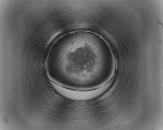 X0000098211210200804241313