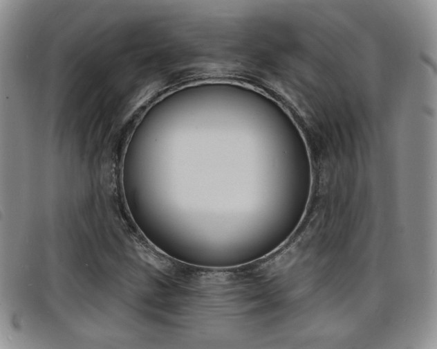 X0000098211211200804241313
