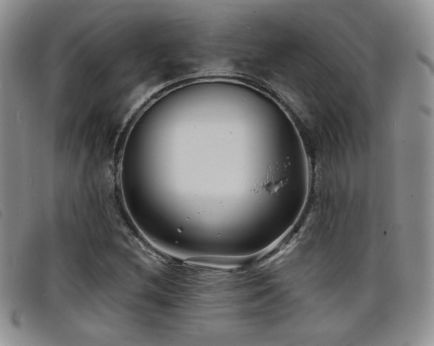 X0000098211212200804241313