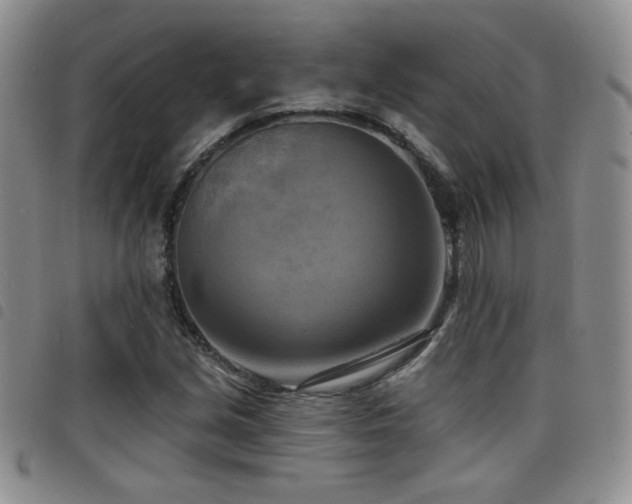 X0000098211213200804241313