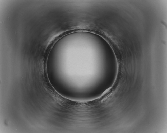 X0000098211214200804241313