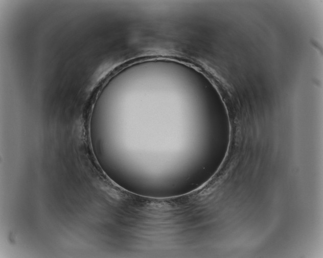 X0000098211215200804241313
