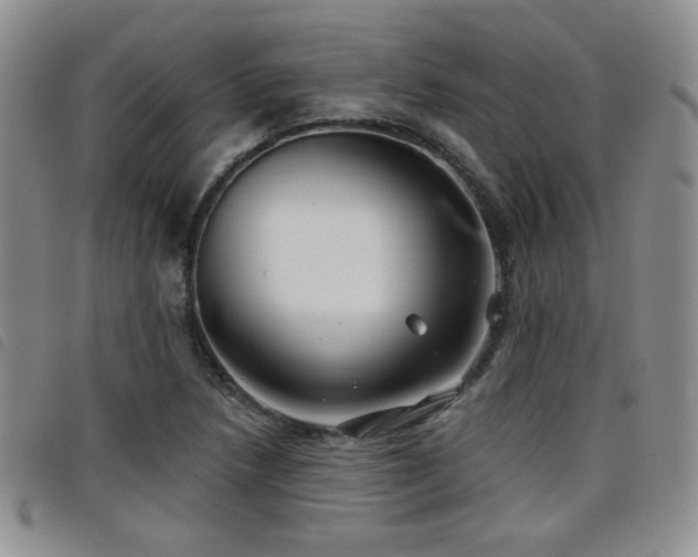 X0000098211218200804241313