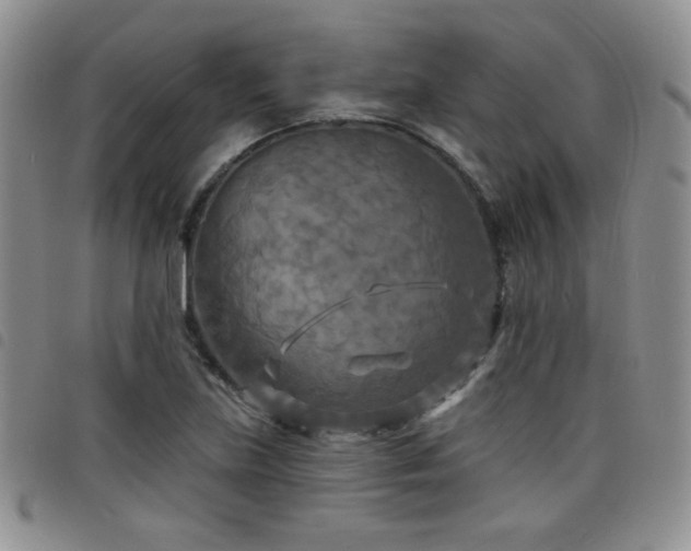 X0000098211219200804241313