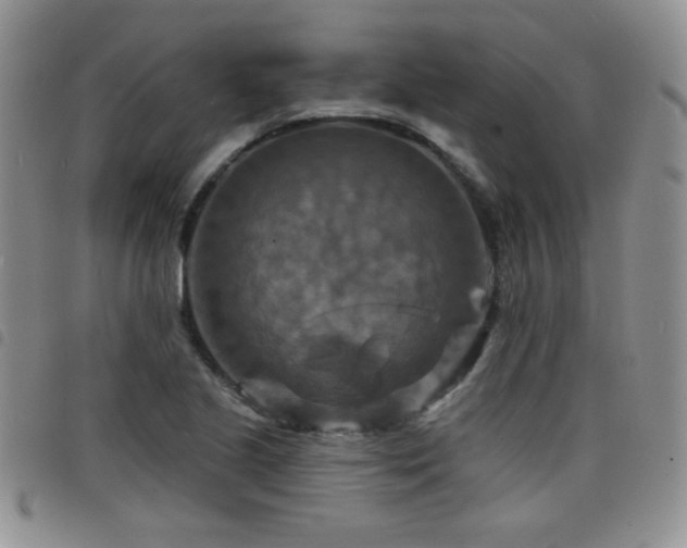 X0000098211221200804241313