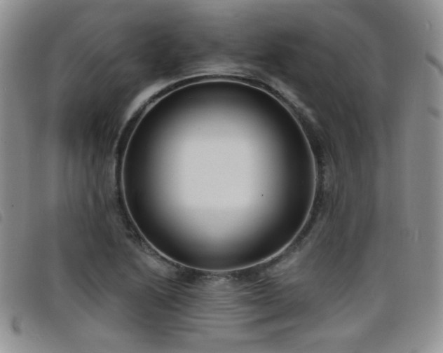 X0000098211222200804241313