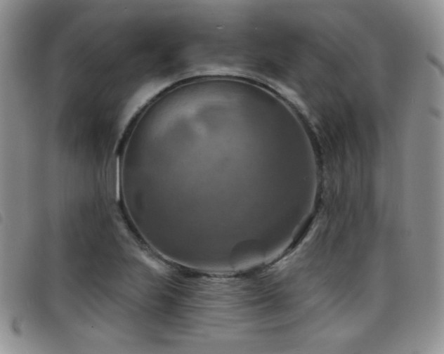 X0000098211223200804241313