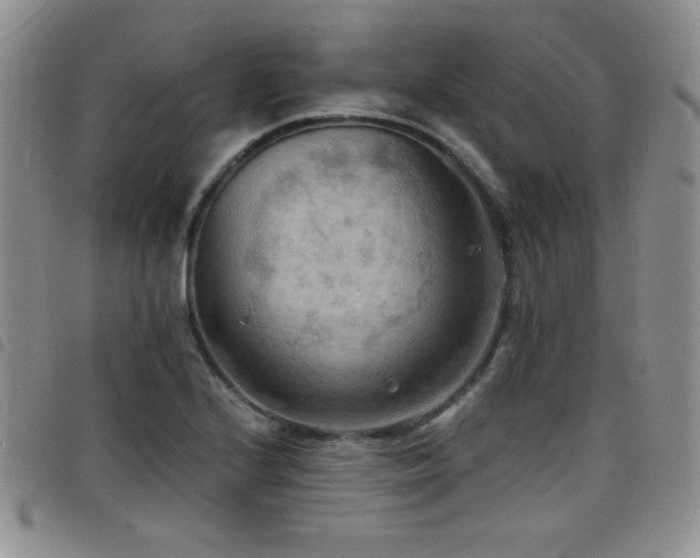 X0000098211224200804241313