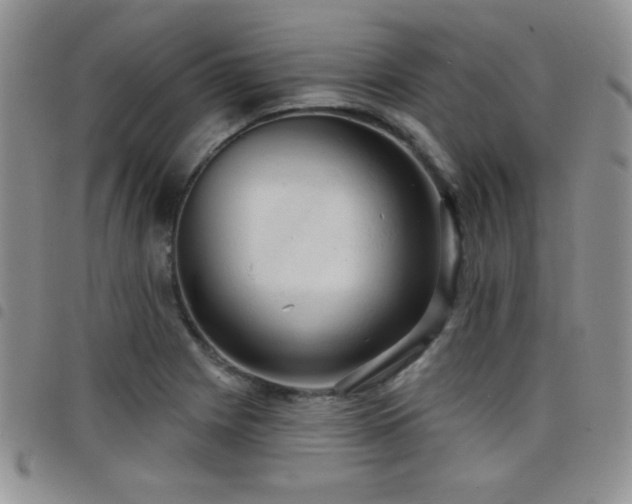 X0000098211225200804241313