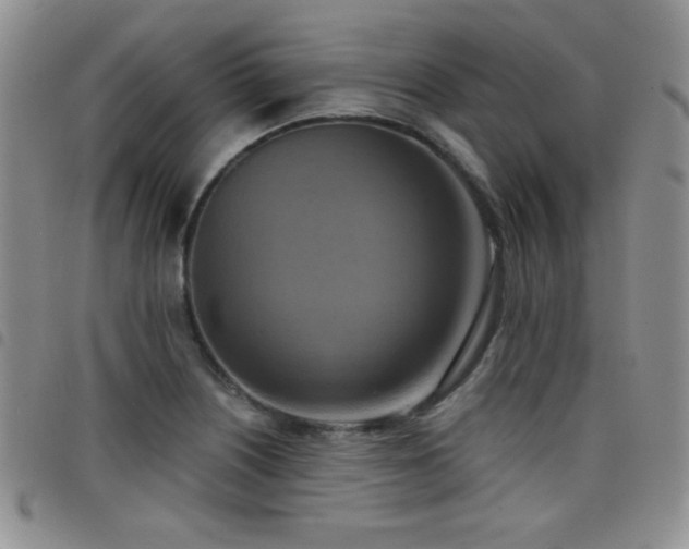 X0000098211226200804241313