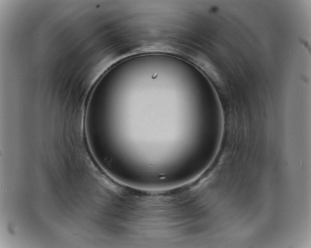 X0000098211228200804241313