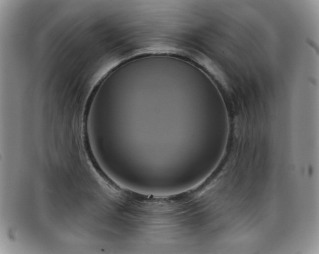 X0000098211229200804241313