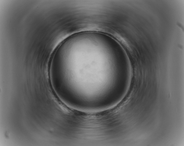 X0000098211230200804241313