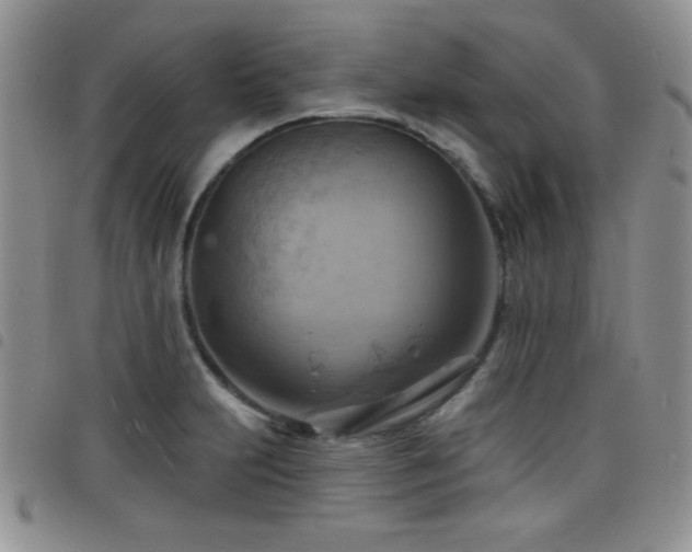 X0000098211231200804241313