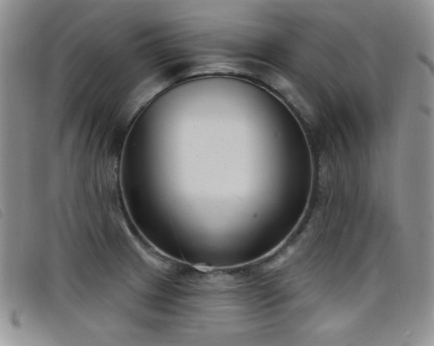 X0000098211233200804241313