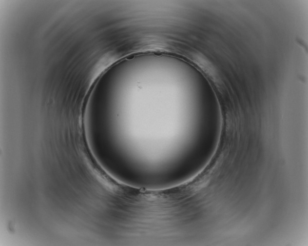 X0000098211234200804241313