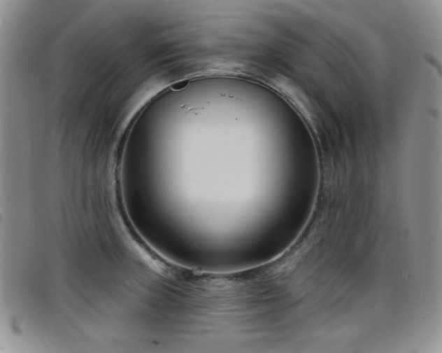 X0000098211235200804241313