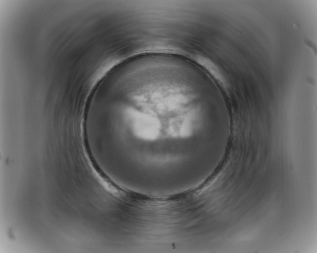 X0000098211237200804241313