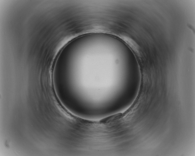 X0000098211238200804241313