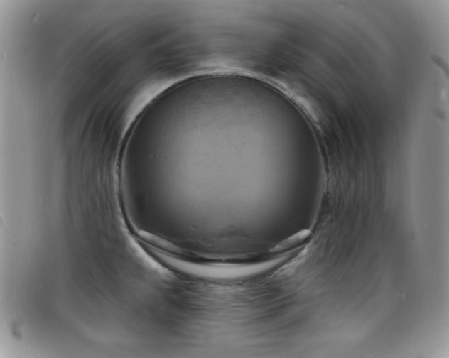 X0000098211239200804241313
