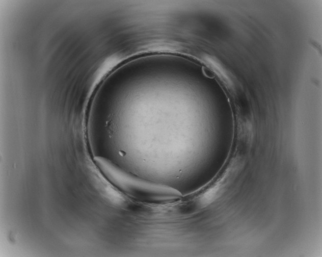 X0000098211240200804241313