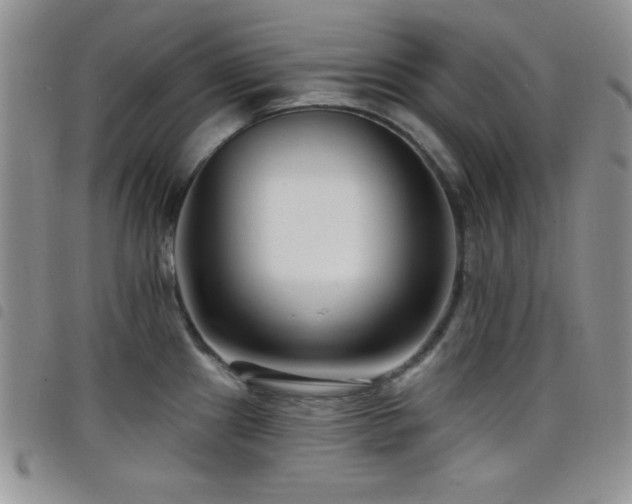 X0000098211241200804241313
