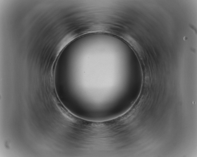 X0000098211242200804241313