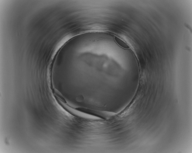 X0000098211243200804241313