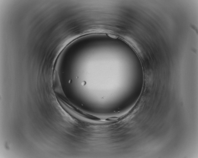 X0000098211244200804241313