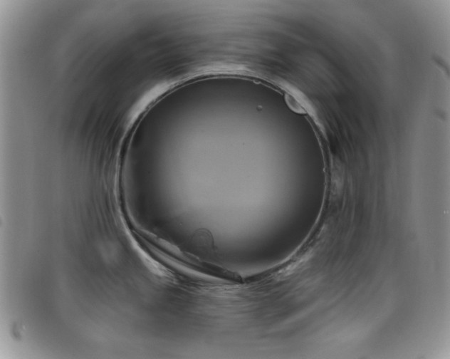 X0000098211245200804241314