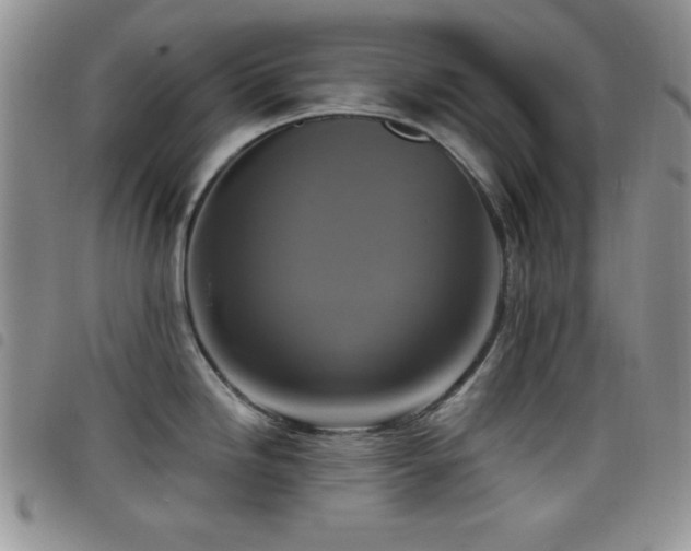 X0000098211246200804241314
