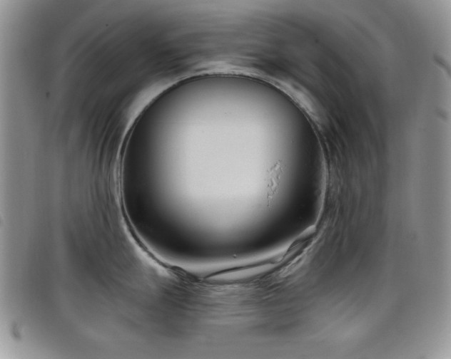 X0000098211247200804241314
