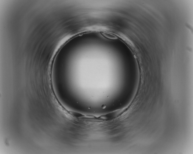 X0000098211248200804241314