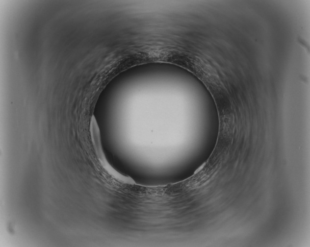 X0000098211249200804241313