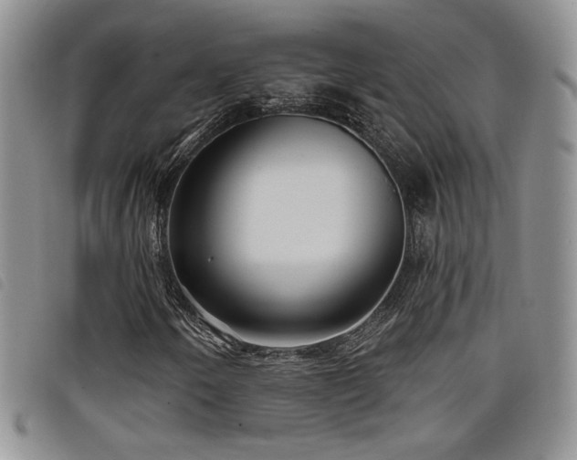 X0000098211250200804241313