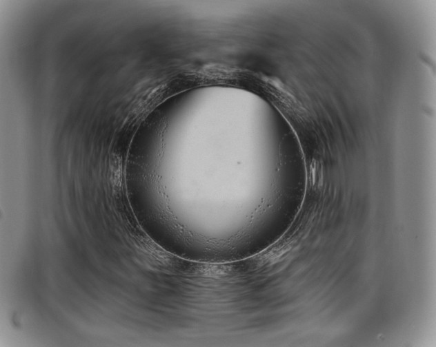 X0000098211251200804241313